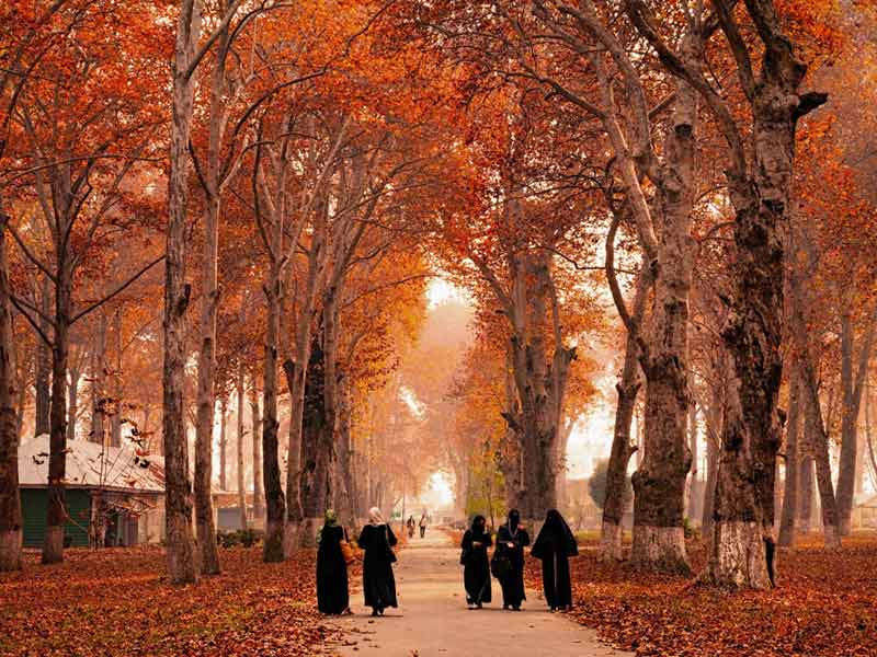 essay on autumn in kashmir