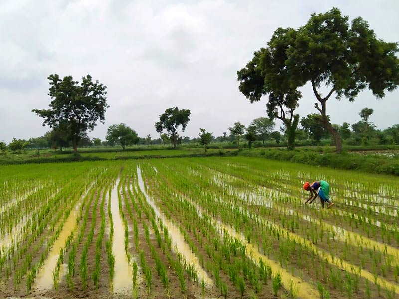 Bhandara: The Rice Bowl of Maharashtra and Historical Scenic ...