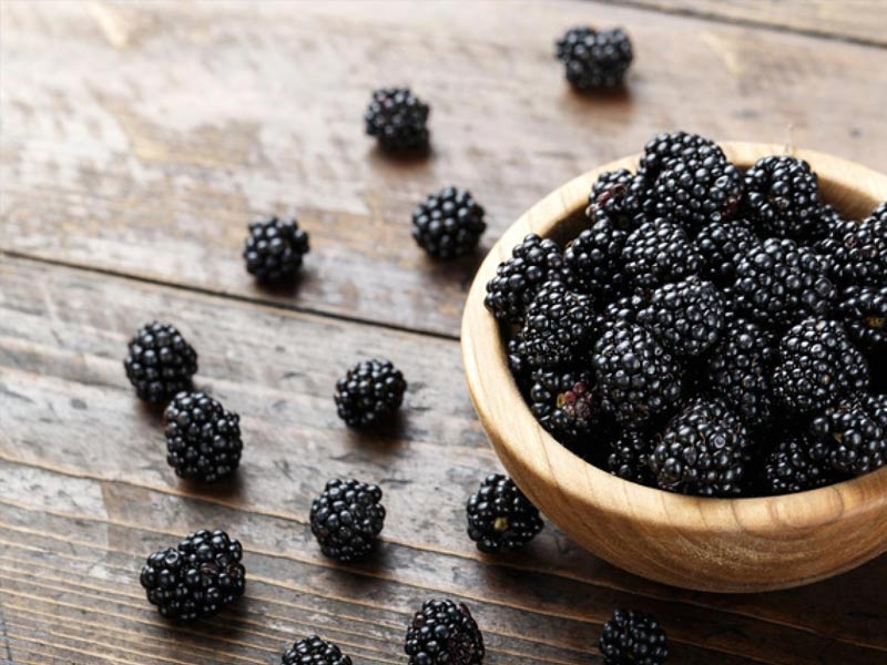 benefits of blackberry
