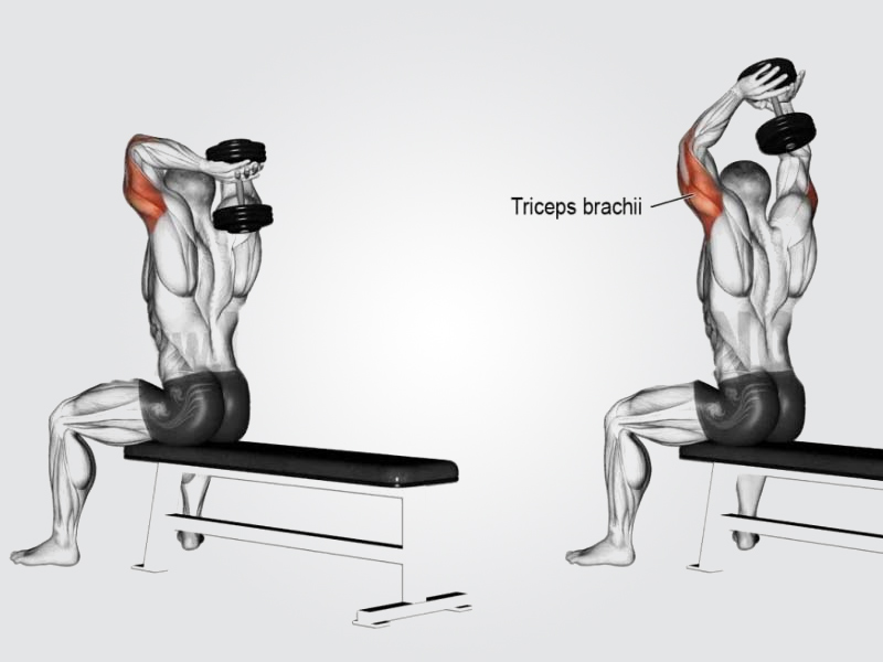 triceps exercises,