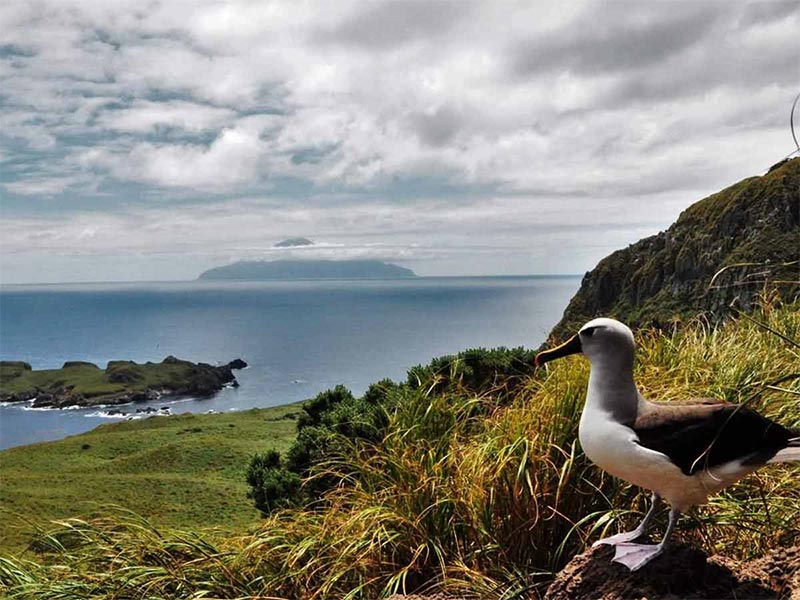 Tristan da Cunha: The History of the Beautiful Virgin Island