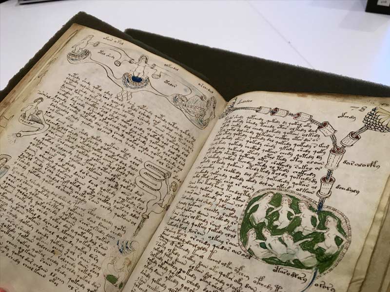 manuscript voynich