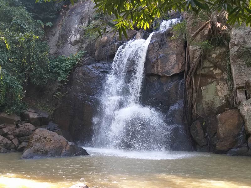 mdubanda waterfalls, Daringbadi