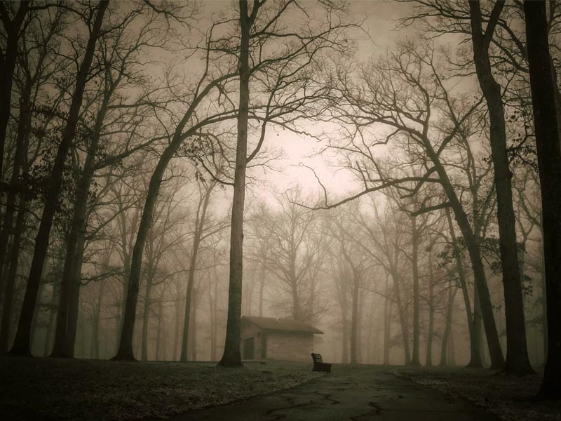 kerala, haunted places in kerala, spooky places in kerala, haunted houses in kerala, haunted kerala, ghost stories of kerala