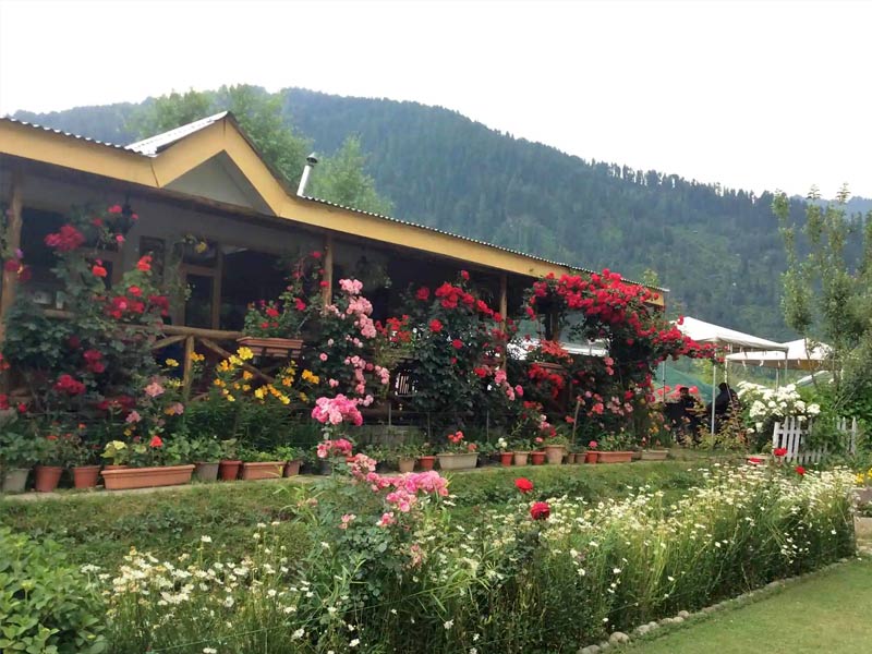restaurants in manali, best restaurants manali, best restaurants in manali, best places near manali, restaurants in manali mall road, famous restaurants in manali, top restaurants in manali, best veg restaurants in manali, good restaurants in manali, veg restaurants in manali, south indian restaurants in manali, restaurants in old manali, pure veg restaurants in manali, where to eat in manali, restaurants in manali himachal pradesh, top 10 restaurants in manali, non veg restaurants in manali, manali food, manali famous food, manali local food, manali food culture, food of manali, manali food cost, shimla manali famous food, manali famous non veg food, kullu manali local food, manali food places, manali special food items, The Open Air And Multi-Cuisine Restaurant, , rooftop restaurant at keylinga inn, Renaissance , Basil Leaf Restaurant , Dylans Toasted And Roasted Coffee House , La Plage , Il Forno , Open Air Restaurant At Apple Bud Cottages, The Lazy Dog , cafe 1947 , chopsticks restaurant , drifter's cafe , johnson's cafe , fat plate restaurant