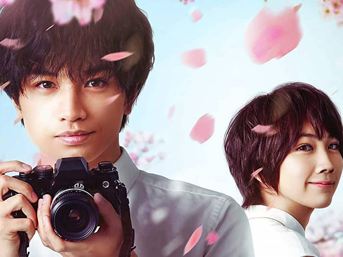 Love Like The Falling Petals: A Cute Japanese Drama on Netflix